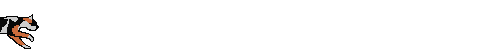(16,2 K)